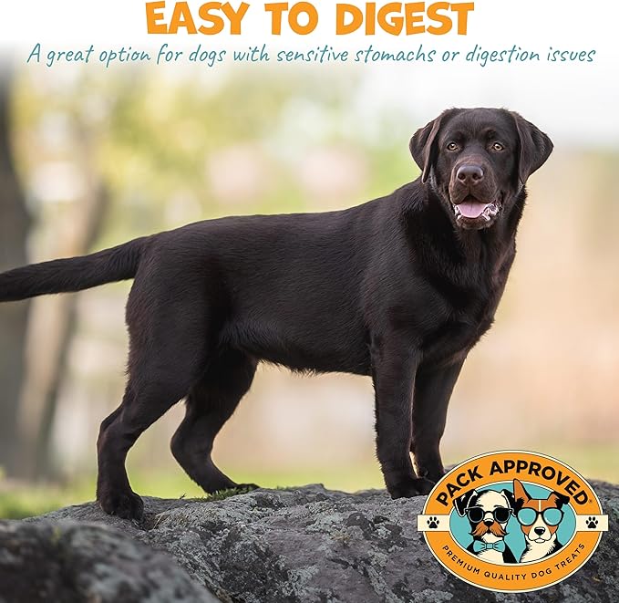 Lamb Tripe - Single Ingredient & Dehydrated Dog Treats - Lamb Treats for Sensitive Stomach - No Hide Dog Chews Tripe - 10oz