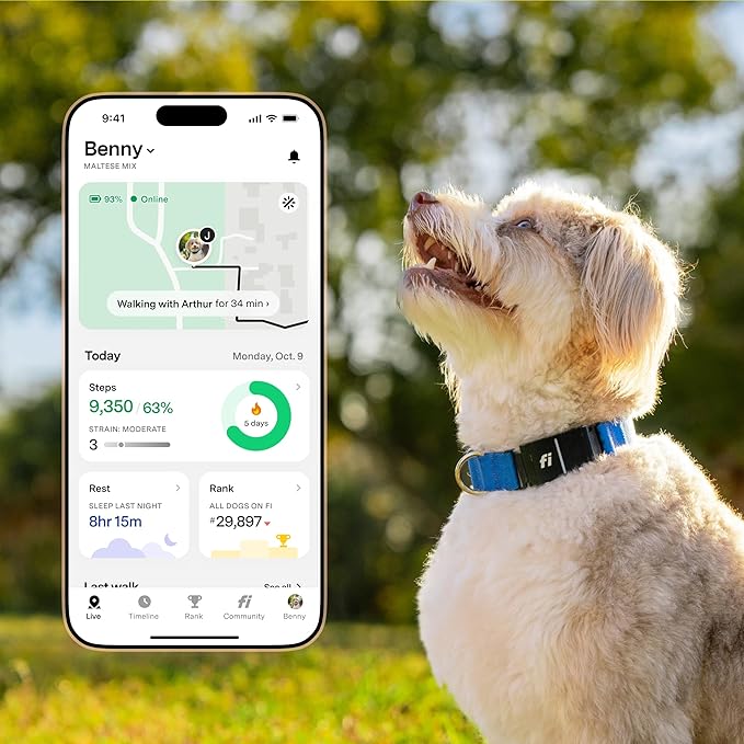 Fi Series 3+ Smart Dog Collar - GPS Dog Tracker and Activity & Fitness Monitor, Waterproof, LED Light, Escape Alerts, Nationwide Coverage [Free 6 Month Membership] (Blue, Extra Small)