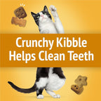 Purina Friskies Cat Treats, Party Mix Cheezy Craze Crunch - (Pack of 10) 2.1 oz. Pouches