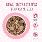 Weruva Cats in The Kitchen Kitten, Kitten Gone Wild, 3oz Can (Pack of 12)