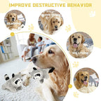 Interactive Squeaky Dog Toys Raccoon Dog Toy, Stuffing Woodland Friends Burrow, Squeaky Plush Dog Toy for Small Medium Large Dogs (Large)