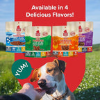 PLATO Mini Thinkers Duck Recipe 3oz, Natural (850002221336)