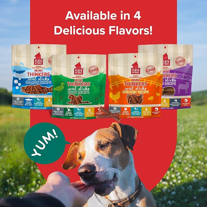 PLATO Mini Thinkers Duck Recipe 3oz, Natural (850002221336)