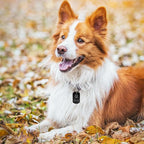 Fesorsi 25 Pcs Aluminum Tags for Engraving,Rectangle Stamping Blanks Tags,Black Military Dog Tags,Anodized Blank Metal Tags,Personalized Pet Dog ID Tags Blank with Hole DIY Pendants Decorative Craft