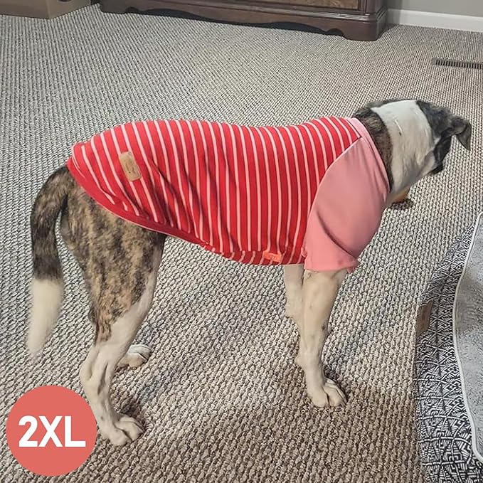 KYEESE 2Pack Dog Sweater Pets Clothes with Sleeves Stretchy Pet Coat Comfy Pets Sweaters Pullover Dogs Sweatshirt Soft Dog Sweaters for Medium Dogs Girl Lightweight Pet Fleece Sweater for Cold Weather