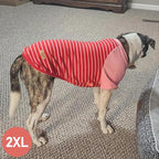 KYEESE 2Pack Dog Sweater Pets Clothes with Sleeves Stretchy Pet Coat Comfy Pets Sweaters Pullover Dogs Sweatshirt Soft Dog Sweaters for Medium Dogs Girl Lightweight Pet Fleece Sweater for Cold Weather