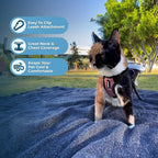 Voyager Escape-Proof Step-in Lock Cat Harness & 5ft Neoprene-Handle Leash Set All-Weather Mesh with Reflective Stitching for Small to Large Cats by Best Pet Supplies, Pink/Black Trim, XS