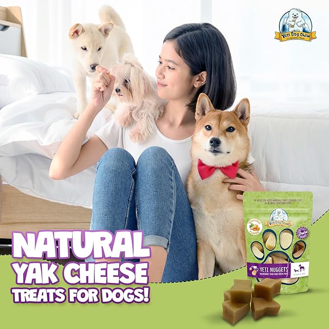 Yeti Refill Nuggets for Puff and Play Dog Toys - Natural Himalayan Yak Cheese Treats, Healthy Dog Chews, Suitable for All Dogs, Ideal for Interactive Chew Toys and Dispensers - 6 Pieces, Turmeric