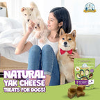 Yeti Refill Nuggets for Puff and Play Dog Toys - Natural Himalayan Yak Cheese Treats, Healthy Dog Chews, Suitable for All Dogs, Ideal for Interactive Chew Toys and Dispensers - 6 Pieces, Turmeric