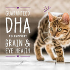 Stella & Chewy's Carnivore Cravings Purrfect Pate Cans – Grain Free, Protein Rich Wet Cat Food – Cage-Free Chicken & Salmon Kitten Recipe – (2.8 Ounce Cans, Case of 24)