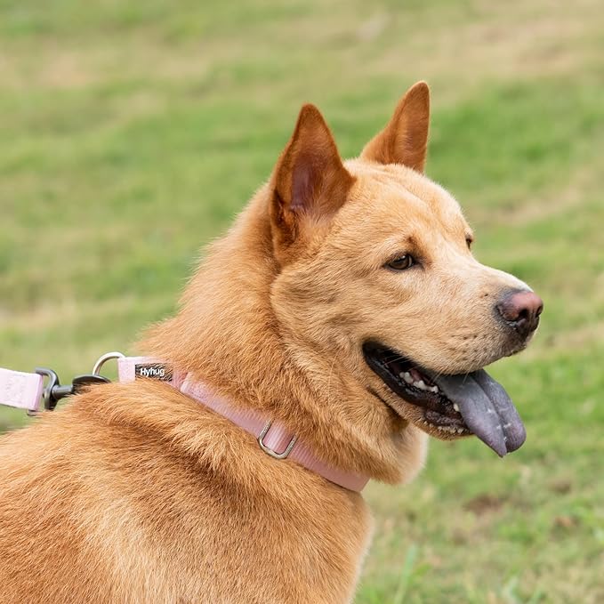 Hyhug Martingale Collar for Dogs Extra Large Pink |Escape - Proof Heavy Duty Nylon Durable No Pull, Ideal for Training & Daily Walks