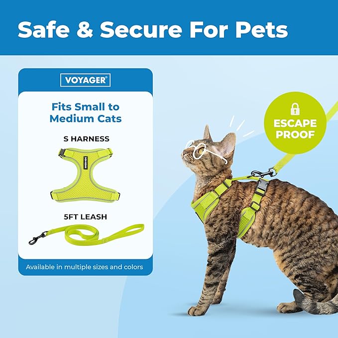 Voyager Escape-Proof Step-in Lock Cat Harness & 5ft Neoprene-Handle Leash Set All-Weather Mesh with Reflective Stitching for Small to Large Cats by Best Pet Supplies, Lime (327), S