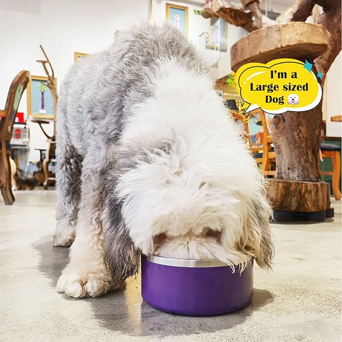 LIHONG Stainless Steel Dog Bowls for Small Medium Sized Dogs Non Slip,Insulated Dog Bowl,Pet Bowl for Food and Water,Rustproof(40oz,Purple)