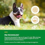 NaturVet Advanced Probiotics & Enzymes, PB6 Dog Soft Chews to Help Sensitive Stomachs and Digestive Issues, Hickory Smoked Bacon Flavored Pet Supplement for Dogs Over 6 Weeks, 240 Count Jar