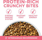Purina ONE High Protein, Natural Dry Kitten Food, +Plus Healthy Kitten Formula - 7 lb. Bag