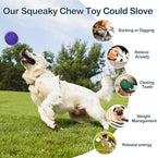2 Pack Indestructible Squeaky Dog Balls for Aggressive Chewers, Durable Rubber Chew Toys for Teething, Anxiety Relief Perfect for Large, Medium Breeds, Indoor Outdoor Use