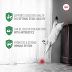 Royal Canin Probiotics for Cats Digestive and Immune Health Powder Supplement for Cats of All Ages, 30 Count (Pack of 3)