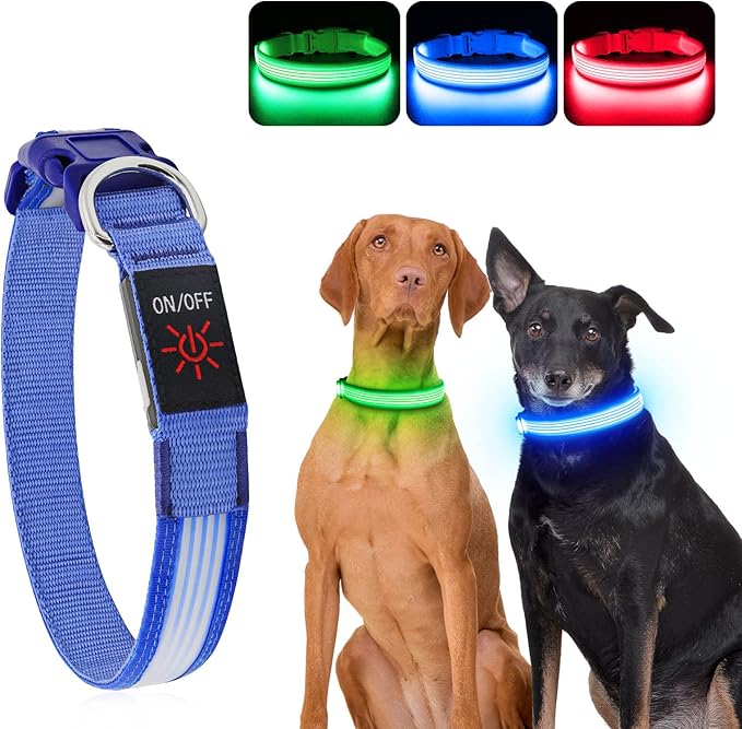 YFbrite Light up Dog Collar, USB Rechargeable LED Puppy Collar Super Bright Adjustable Glowing Dog Lights for Night Walking (Design-2- Blue, Large)