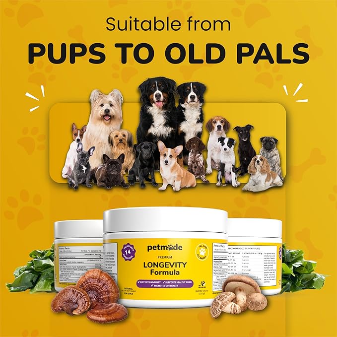 Turkey Tail Mushroom for Dogs - Dog Vitamins and Supplements - Prebiotics & Probiotics for Longevity, Immune Support & Digestion - with Chlorella, Dandelion Root, Vitamin E & More- 5.3 Oz