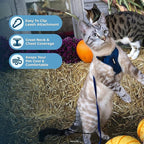 Voyager Escape-Proof Step-in Lock Cat Harness & 5ft Neoprene-Handle Leash Set All-Weather Mesh with Reflective Stitching for Small to Large Cats by Best Pet Supplies, Royal Blue, S