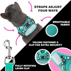 Travel Cat x Jackson Galaxy Harness and Leash Set - Adjustable Fit Mesh Cat Harness with Nylon Leash - Comfort, Escape Proof Harness for Cats, Kitten for Outdoor Walking, Hiking (Kittens Only)