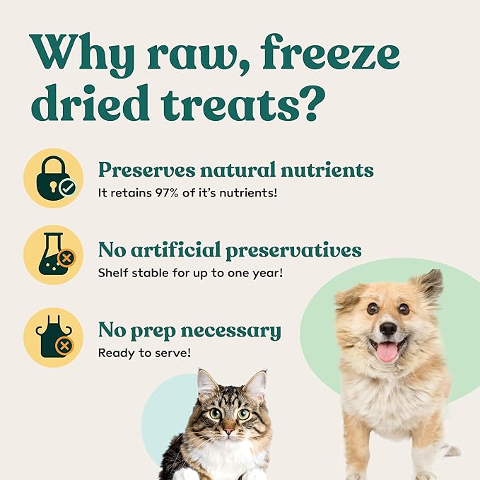 Little Hunter Freeze-Dried Raw Quail Egg Yolk for Dog & Cat Treats | Single-Ingredient High Protein, High Omega-3, Grain & Gluten-Free Training Reward | All Natural, Healthy Pet Treats, 4.2 oz