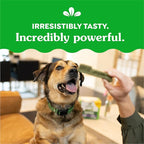 Greenies Original Large Dental Dog Treats, 12 oz. Pack (8 Treats)