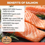 Sweet Potato Dog Treats - Grain Free, Salmon & Kelp Crunchy Sticks - Great Tasting, Promotes Positive Dog Gut Health with Natural Anti-Diarrhea Properties, No Preservatives Added (14oz)