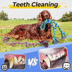 Heavy Duty Dog Rope Toys for Aggressive Chewers, Tough Tug of War Dog Toys for Large, Medium & Small Dogs – 5 Pack Including 2 Ropes & 3 Supplies