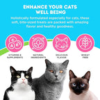 Only Natural Pet Hairball Care - Healthy Skin and Coat Support - Soft Chews for Cats – Digestive Supplement with Flaxseed, Psyllium Husk and Corn Silk – Chicken and Liver Flavor – 60 Count