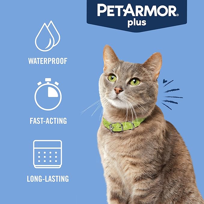 PetArmor Plus Flea and Tick Prevention for Cats over 1.5 lbs, Cat Flea and Tick Treatment, 6 Doses, Waterproof Topical, Fast Acting