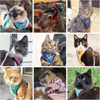 PUPTECK Cat Harness and Leash Set Escape Proof Reflective Cat Walking Harness Adjustable Soft Breathable Mesh Vest for Small Pets, Dark Green, M