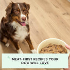 Open Farm Canned Dog Food, Paté for Complete & Balanced Nutrition, Grain-Free and Legume-Free, Chicken & Salmon Recipe, 12.5oz Cans (Pack of 12)