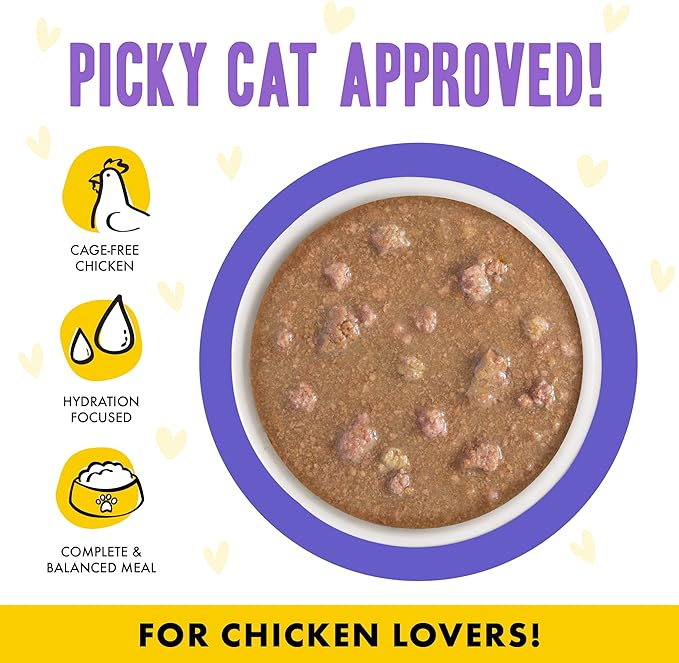 Weruva B.F.F. OMG - Best Feline Friend Oh My Gravy!, Chicken & Beef Be Happy with Chicken & Beef in Gravy, 5.5oz Can (Pack of 8)