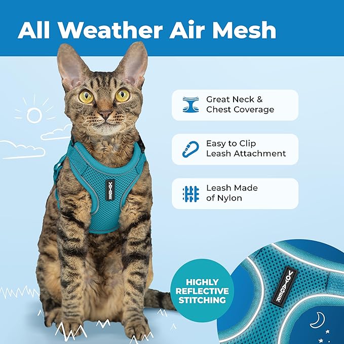Voyager Escape-Proof Step-in Lock Cat Harness & 5ft Neoprene-Handle Leash Set All-Weather Mesh with Reflective Stitching for Small to Large Cats by Best Pet Supplies, Turquoise (327), XXXS
