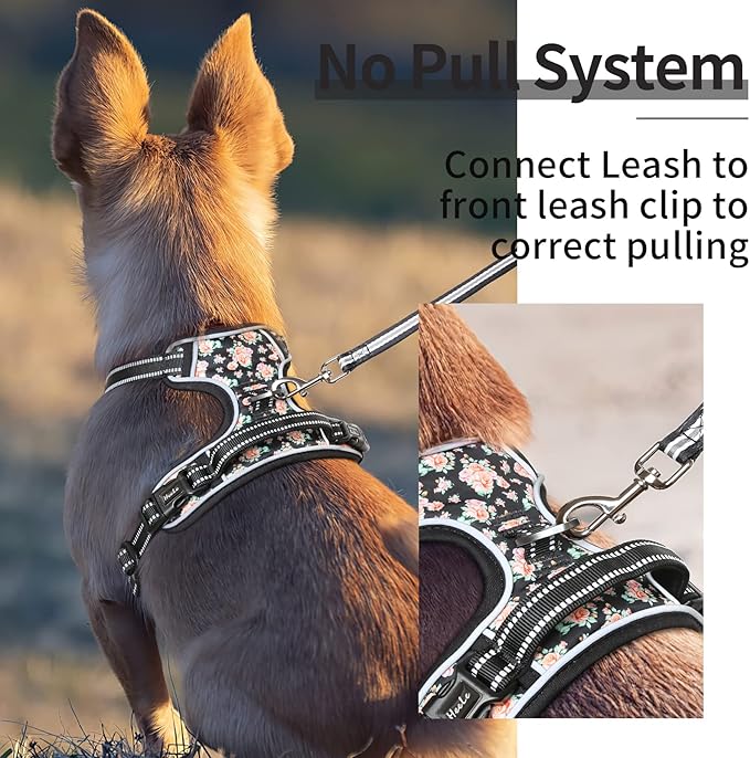 HEELE Dog Harness, No Pull Adjustable Padded Reflective Harness for Small Medium Large Dogs with Handle for Walking Training, Flower-Black, M
