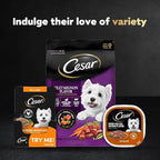 Cesar Filets in Gravy Wet Dog Food Filet Mignon Flavor, Rotisserie Chicken Flavor, and Wood-Grilled Chicken Flavor Variety Pack, 1.76 oz. Mini-Pouches (40 Count, Pack of 1)