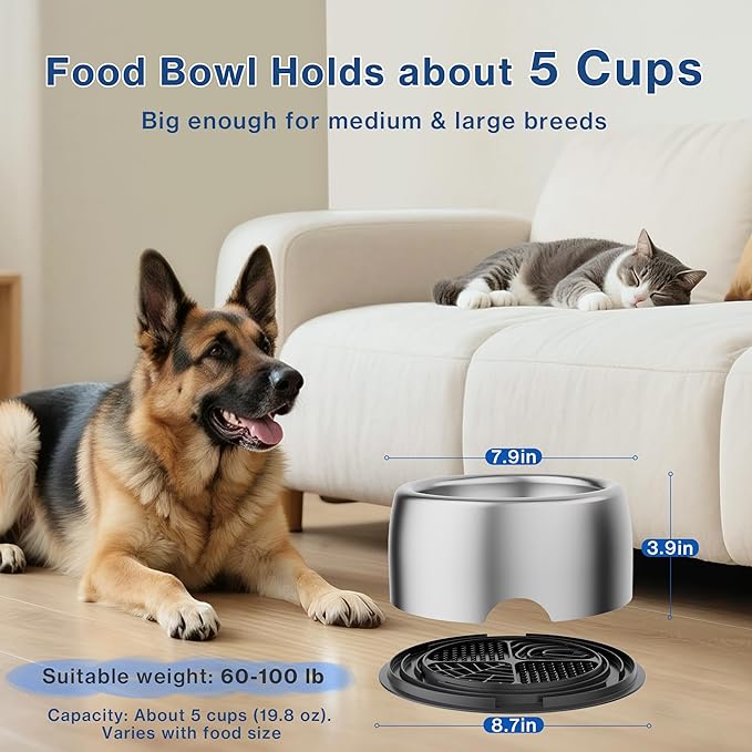 304 Stainless Steel Dog Bowls, Heavy Duty Dog Food Bowl with Extra Strong Non-Slip Mat, Thick Metal Base Water Bowl with Lick Mat for Small, Medium, Large Dogs, Indoor/Outdoor (19.8 oz)