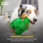 Huxley & Kent Funny Dog Toy w/Squeaker – Holiday Power Plush Squeaky Dog Toys for Small, Medium & Large Dogs – Soft Stuffed Animal for Indoor Play & Fetch - Tree Rex 2.0, Large