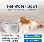 Always Full® 7" Pet Water Bowl and Wall Unit Bundle – Self-Refilling, Clean Filtered Water, Easy Home Connection, App-Enabled Hydration Tracking, Cat and Dog Water Bowls