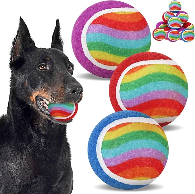 EXPAWLORER Tennis Balls for Dogs - 12 Pack 2.5¡± Squeaky Dog Tennis Balls Toys,Christmas Dog Toys Teething Chew Interactive Dog Bounce Toys for Training Exercise Playing Indoor Outdoor, Rainbow