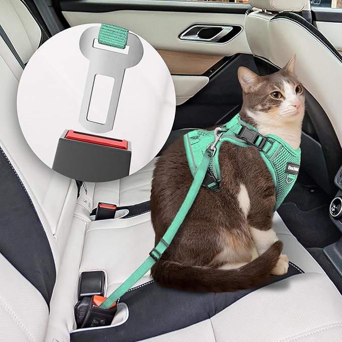 Cat Harness and Leash for Walking, The Upgrade Can be Adjusted in Four Directions and Breathable Cat Harness for Anti Escape That can be Fitted and Positioned, Reflective Strips Harness, Green,M