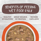 Weruva Classic Cat Stews!, Taco Stewsday with Beef, Chicken & Salmon in Gravy, 2.8oz Can (Pack of 12)