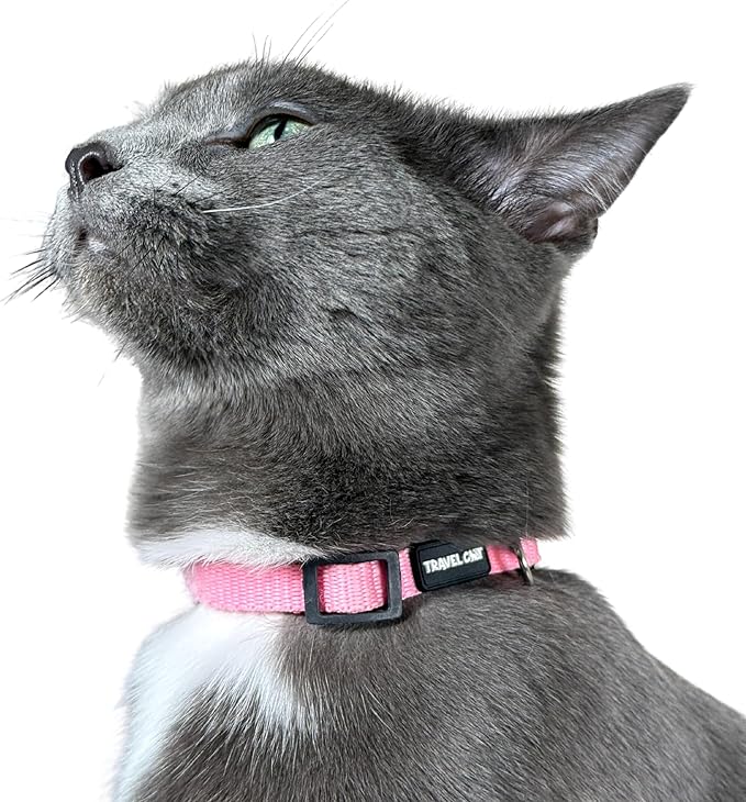 Travel Cat Breakaway Cat Collar - Pink Adjustable Cute Cat Collar with Quick Release Safety Buckle for Boy and Girl Cat - Nylon 8-13 inch Length Kitten Collar with Metal D-Ring, Machine Washable