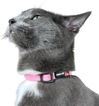 Travel Cat Breakaway Cat Collar - Pink Adjustable Cute Cat Collar with Quick Release Safety Buckle for Boy and Girl Cat - Nylon 8-13 inch Length Kitten Collar with Metal D-Ring, Machine Washable
