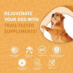 waggedy Omega Max Chews for Dogs with Salmon Oil & Flaxseed — Dog Essentials for Shiny Coats & Healthy Skin — Dog Supplements & Vitamins (60 Chews)