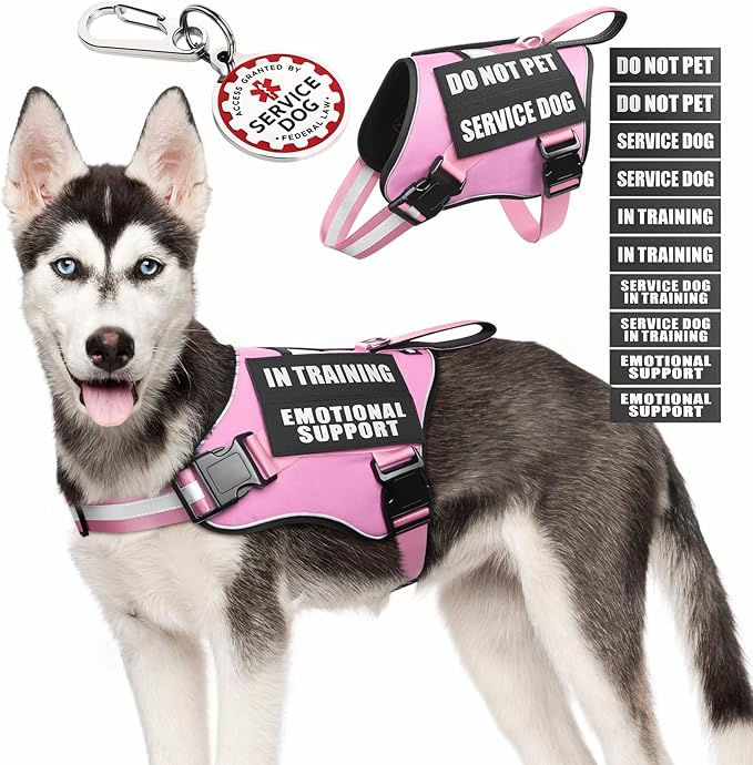 Service Dog Vest Harness+ID Tag+10 Patches,Metal Serivce Dog Tag&Reflective Emotional Support Dog Vest with Handle for Medium Dogs,Easy Put On/Off for Training/Walking/Everyday Pink M