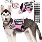 Service Dog Vest Harness+ID Tag+10 Patches,Metal Serivce Dog Tag&Reflective Emotional Support Dog Vest with Handle for Medium Dogs,Easy Put On/Off for Training/Walking/Everyday Pink M