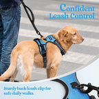 rabbitgoo Dog Harness No Pull with 2 Leash Clips, Adjustable Soft Padded, Reflective Oxford No Choke Pet Vest with Easy Control Handle for Large Dogs, Blue, XL