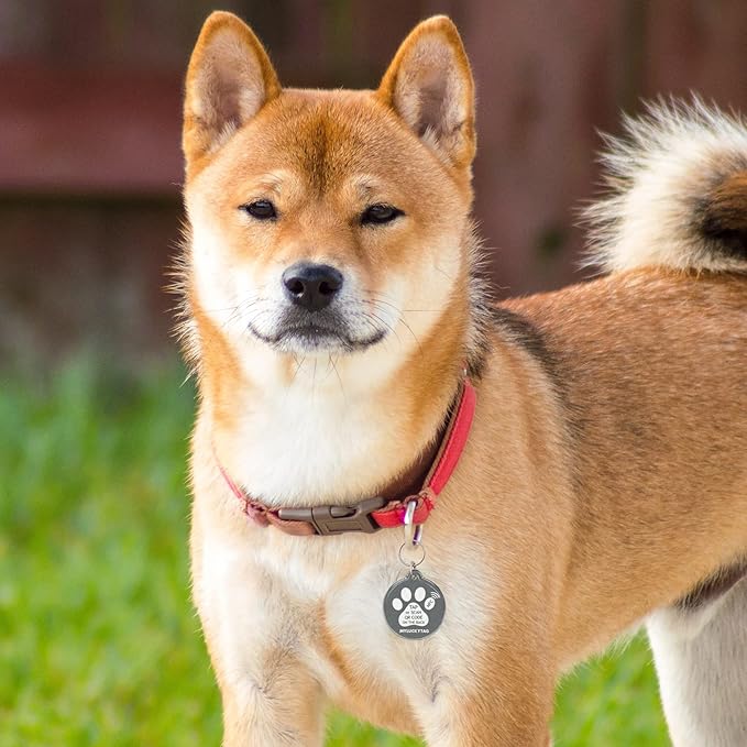 MYLUCKYTAG NFC & QR Code Smart Pet ID Tag Personalized Dog Cat Tag, Online Pet Profile, Pet Location Alert Email, Digital Pet Tag, Quiet Pet Tag, Durable Pet ID, Dog Collar Tag